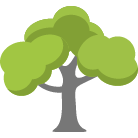 Overland Park Tree Removal