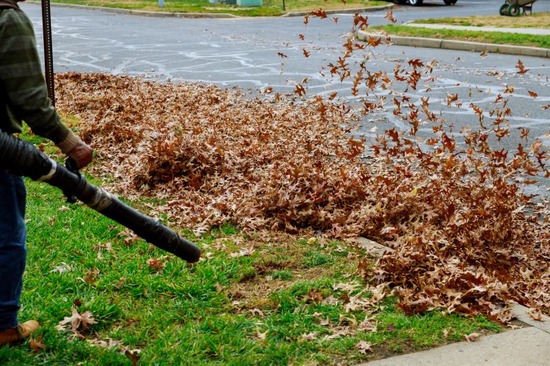 Leaf Blowing Method