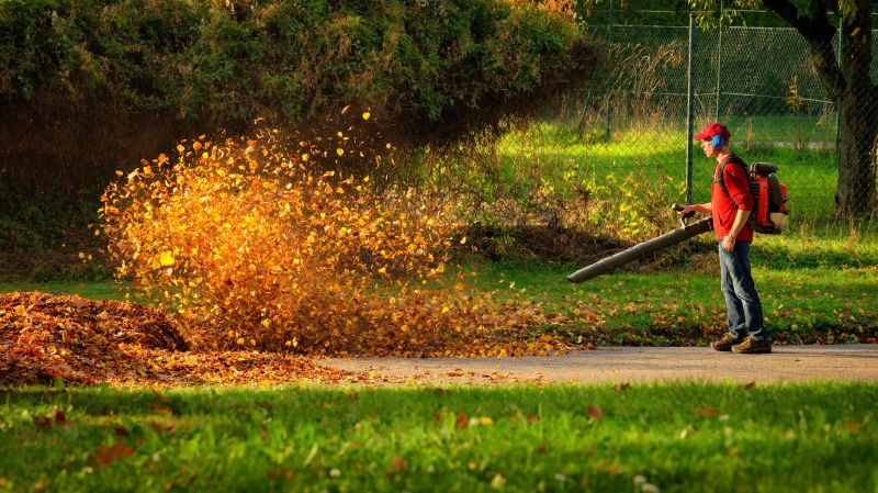 Leaf Removal at Work