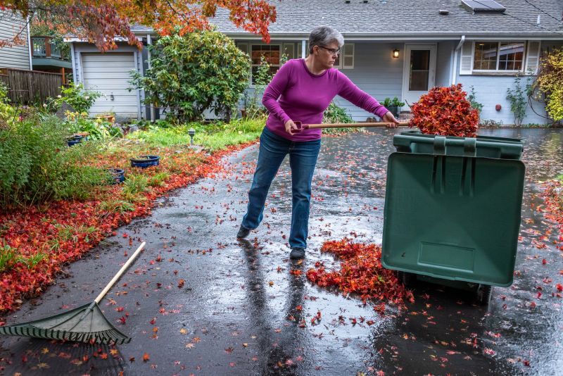 Yard Cleanup Benefits