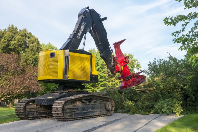 Heavy Machinery in Action