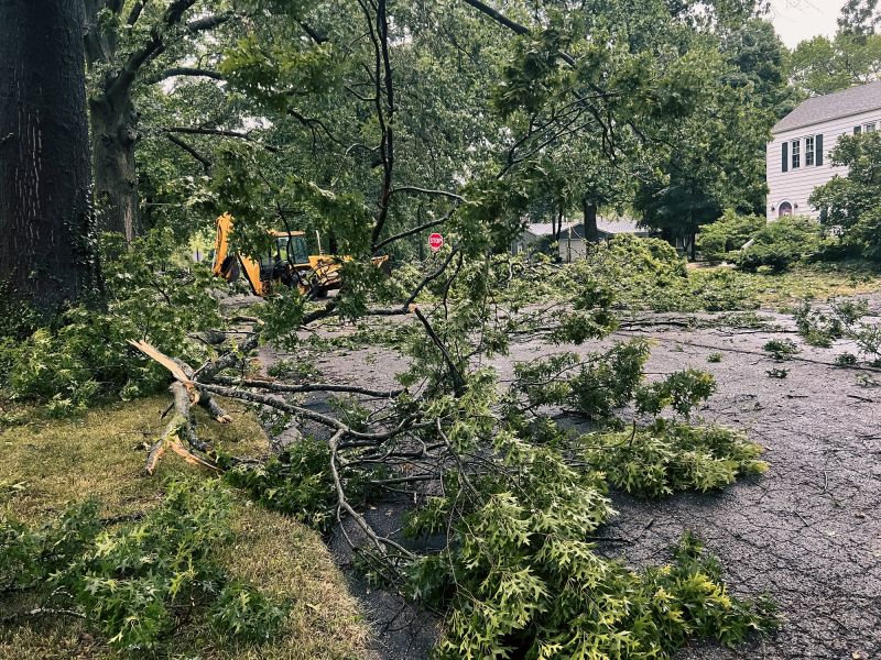 Debris Cleanup