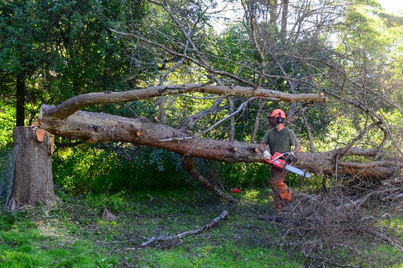 Property Clearing
