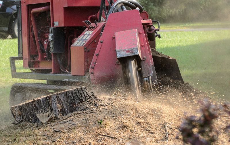 Stump Grinding Finish