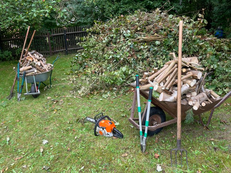 Who Does Tree Removals