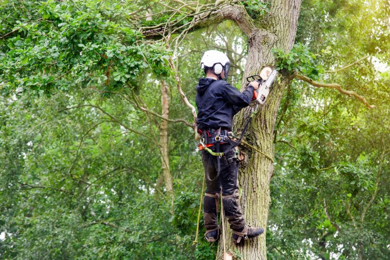 Tree Risk Assessment